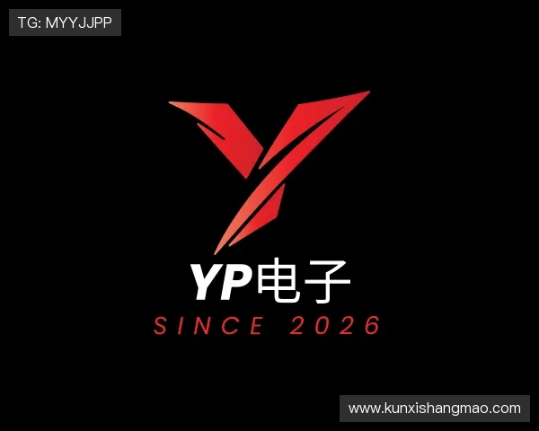 认识YP电子