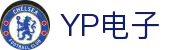 YP电子集团股份有限公司
